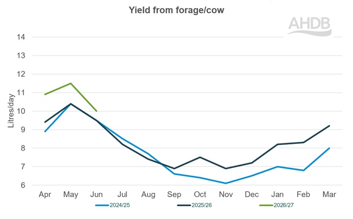 Line graph up to June 2026 detailing Kingshay yield from forage per cow graph last 3 years.